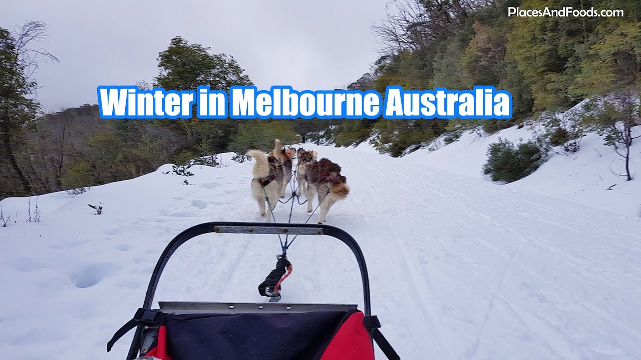 Winter in Melbourne Australia | Mount Buller Snow Mountain