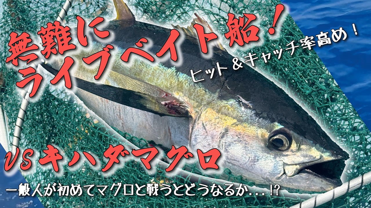 無難にライブベイト船！キハダマグロのヒット率、キャッチ率高めの船で人生初のビッグファイト！【茅ヶ崎港・一俊丸】
