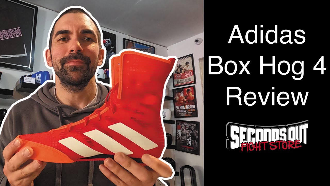 Обзор боксерских ботинок Adidas Box Hog 4
