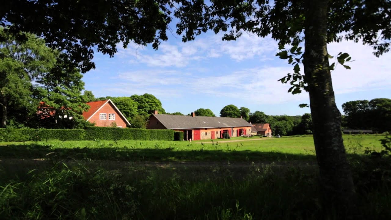 Hald Hovedgård