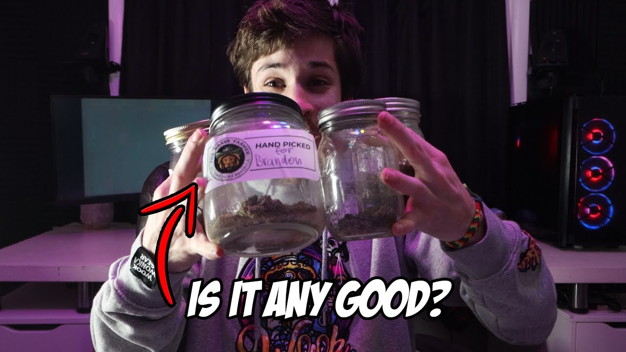 I Haven&rsquo;t Smoked These Strains Before&hellip;