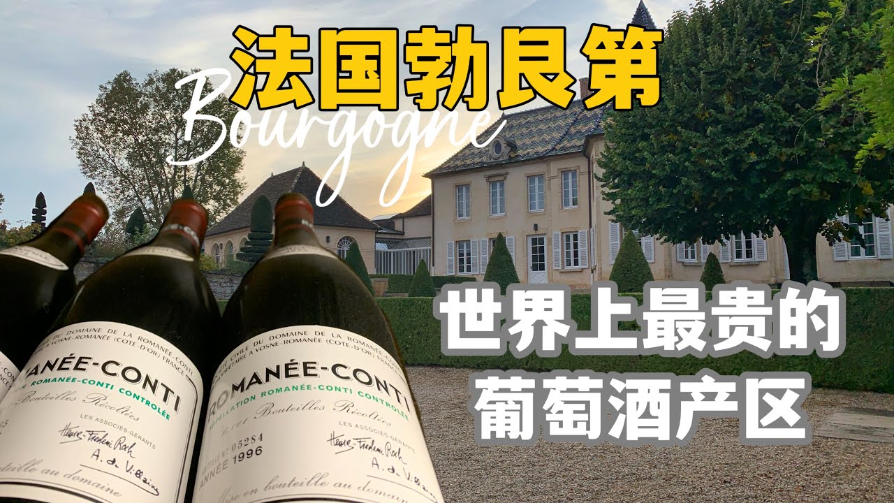 法国葡萄酒你需要知道！｜世界最贵产区什么样？｜来勃艮第传统菜？｜走进世界最贵酒村沃恩罗曼尼