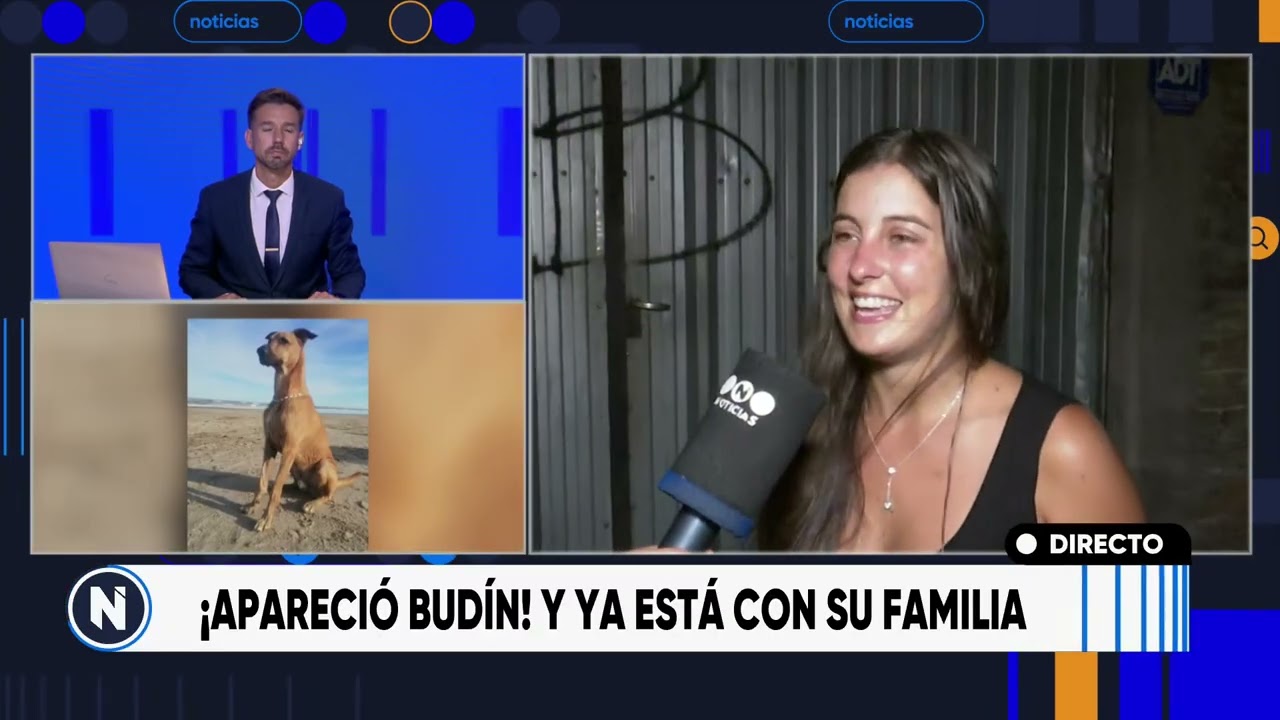 ¡La buena del día!: apareció Budín y ya está con su familia | TELEFE ROSARIO