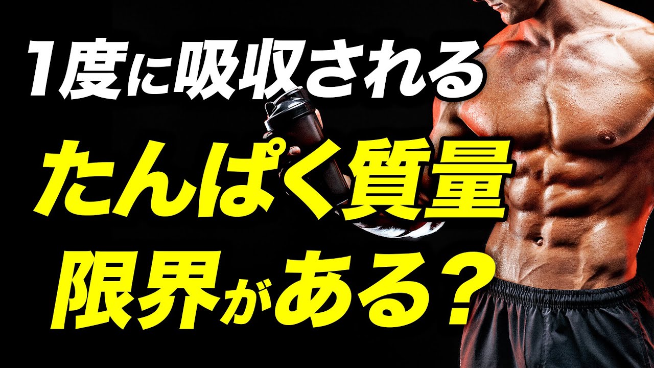 筋肥大を促進させる たんぱく質の吸収上限量と理想的なたんぱく質の摂取方法【ビーレジェンド プロテイン】