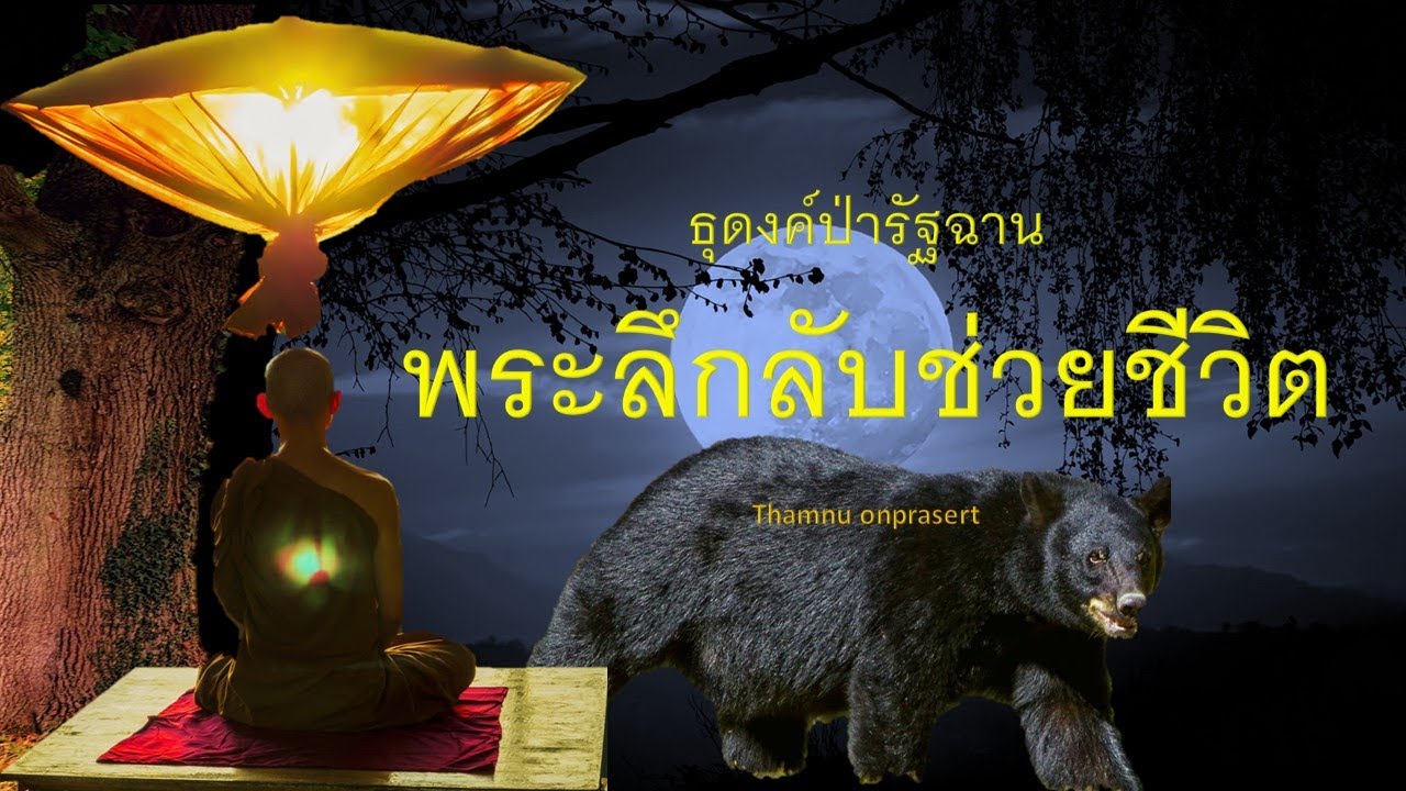 ๒๕๑.พระลึกลับช่วยชีวิต ธุดงค์ป่ารัฐฉาน