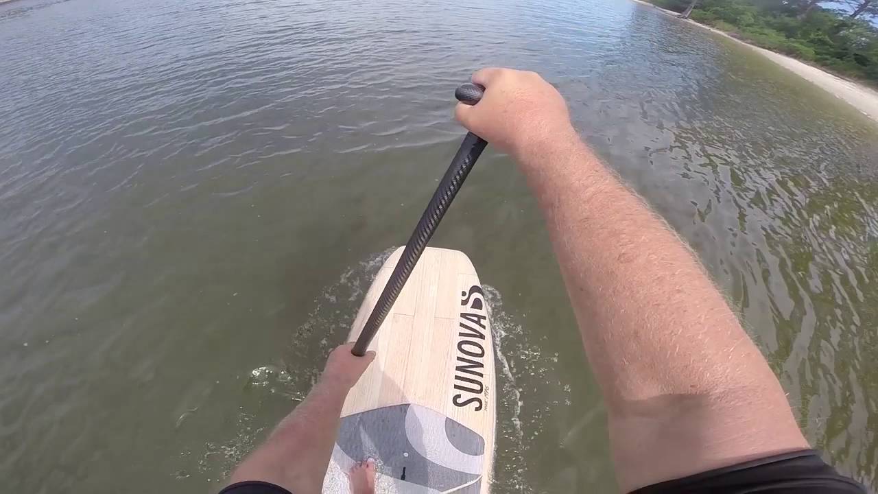 Sunova Shroom - fun squared