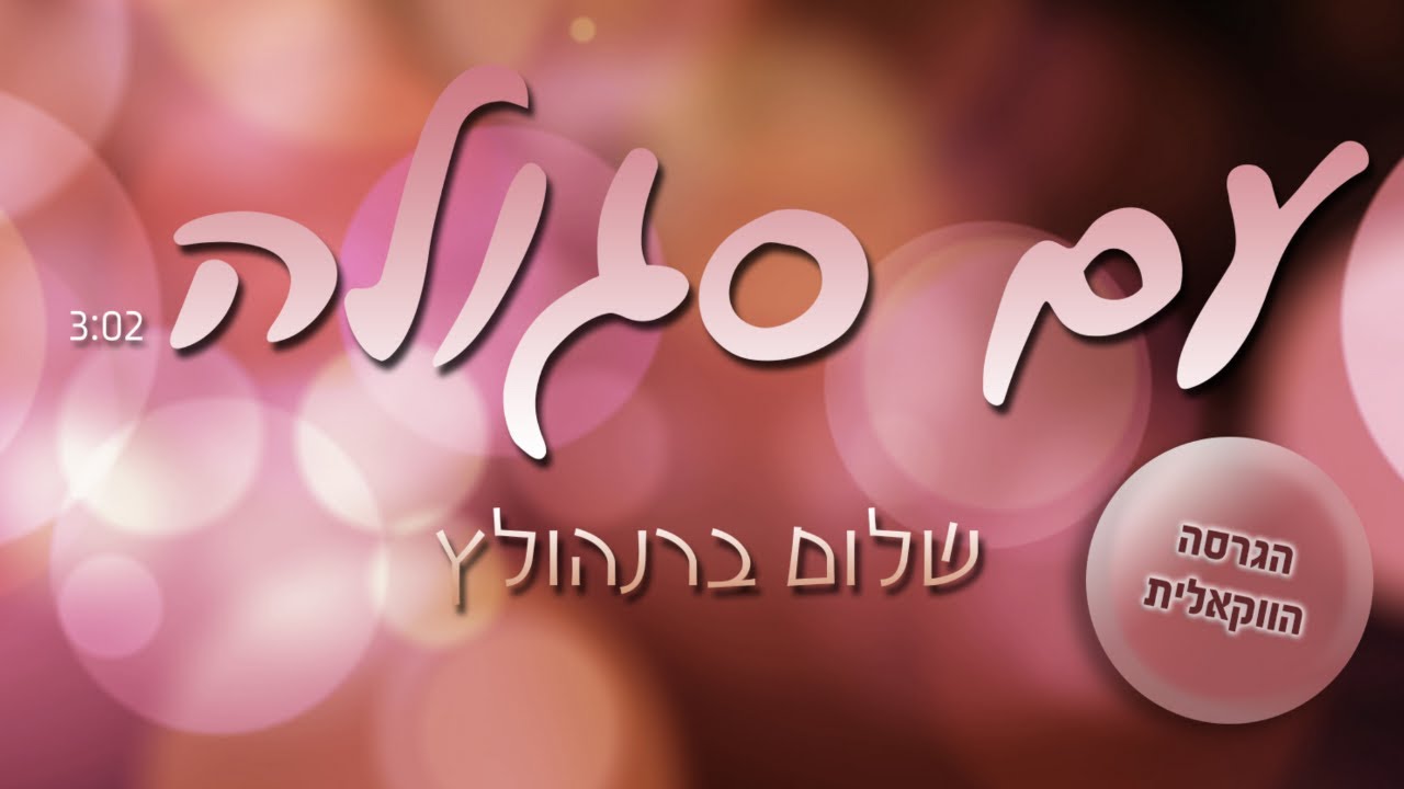 שלום ברנהולץ - עם סגולה | ווקאלי