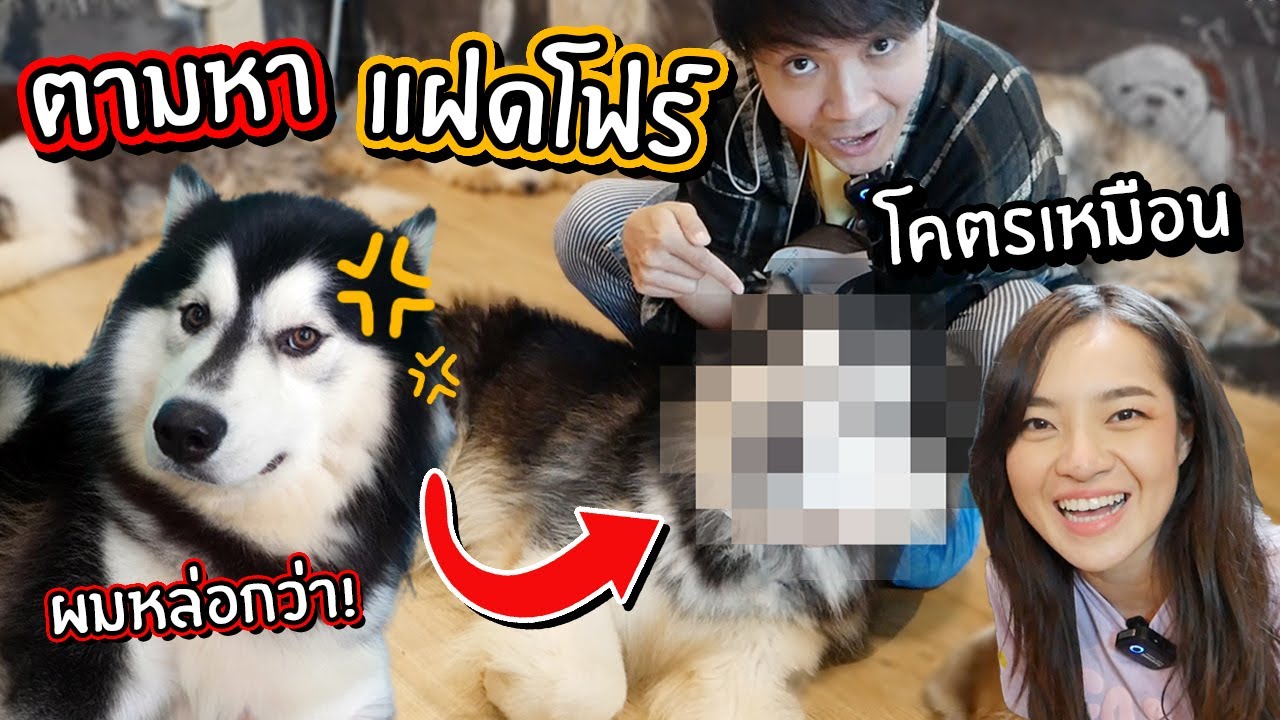 ตามหาพี่น้องฝาแฝดของน้องโฟร์! เจอด้วย! // จะโดนงอนมั้ย?