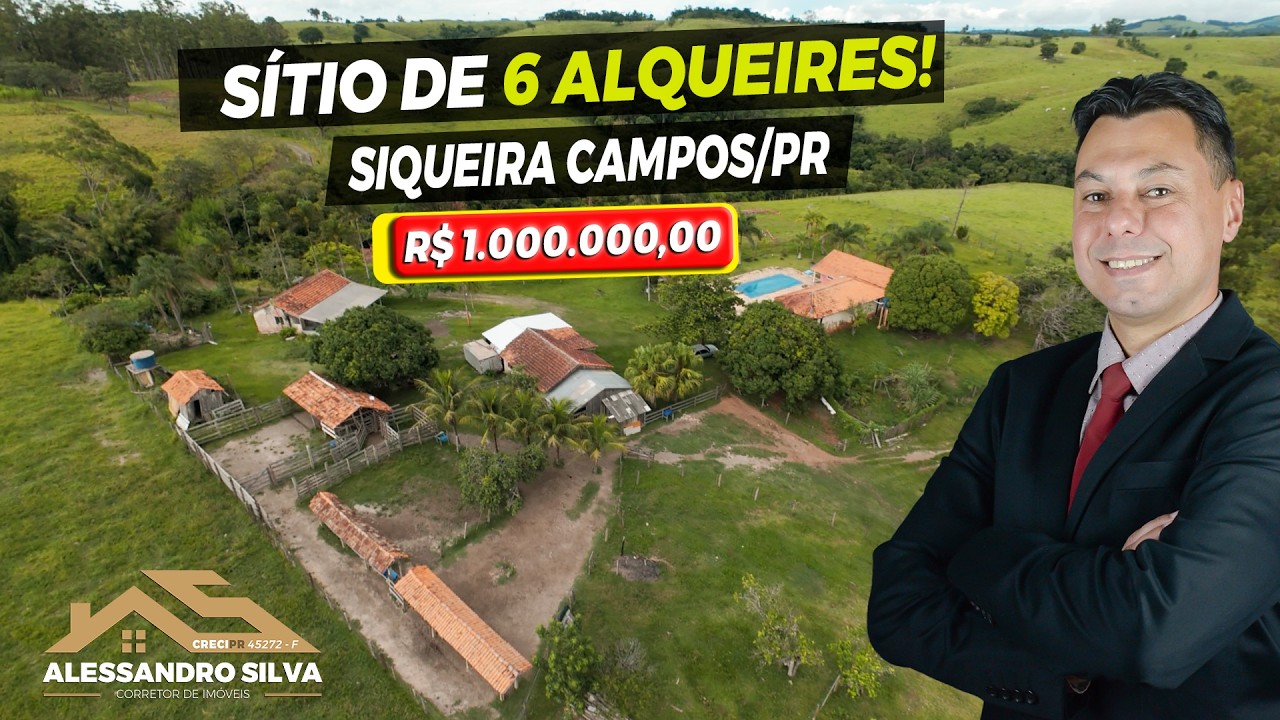 REF. 260205 - Sítio de 6 alqueires à venda, em Siqueira Campos/PR