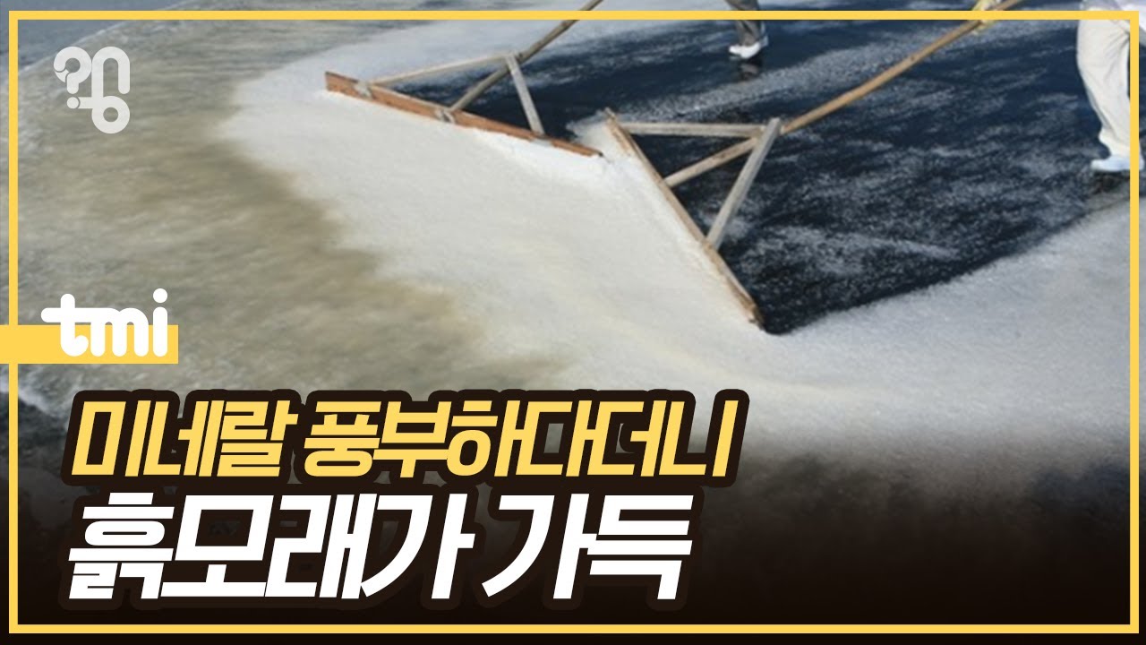 정말 천일염이 더 좋은 소금일까?