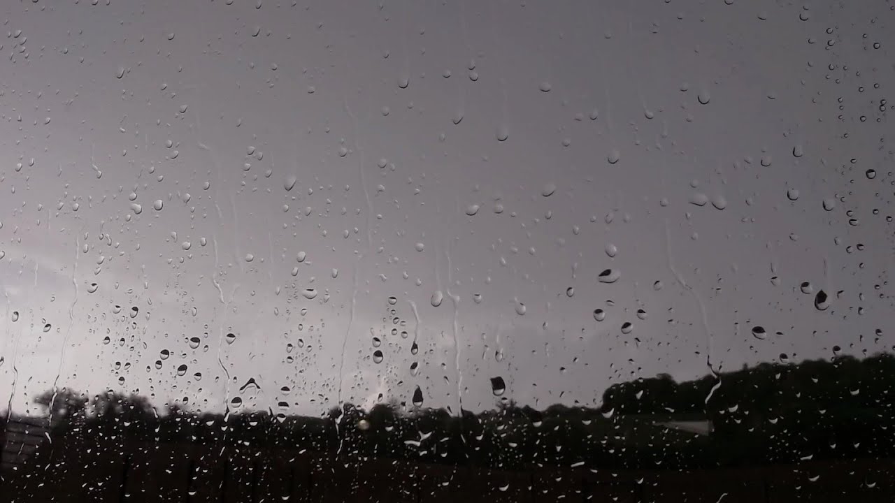 Windy Rain and Thunder Sound - Heavy Rain with Thunder - 1 Hours Rain Sounds for Sleep - Windy Rain