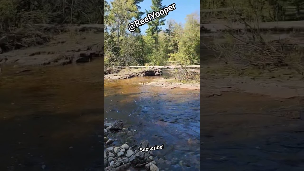 GOTTA LOVE DA YOOP! #michigan #yooper #up #explore #river #nature #beautiful #shorts #woods #amazing