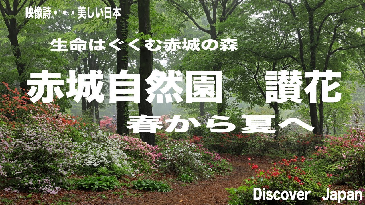 生命はぐくむ赤城の森 1　・赤城自然園讃花・赤城自然園・森林セラピー基地