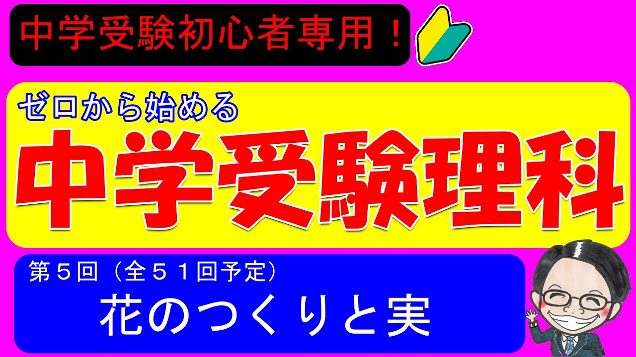 【中学受験理科】花のつくりと実を徹底解説！入試に必須の知識だけをぎゅっと凝縮！【ゼロから始める中学受験理科 第６回】