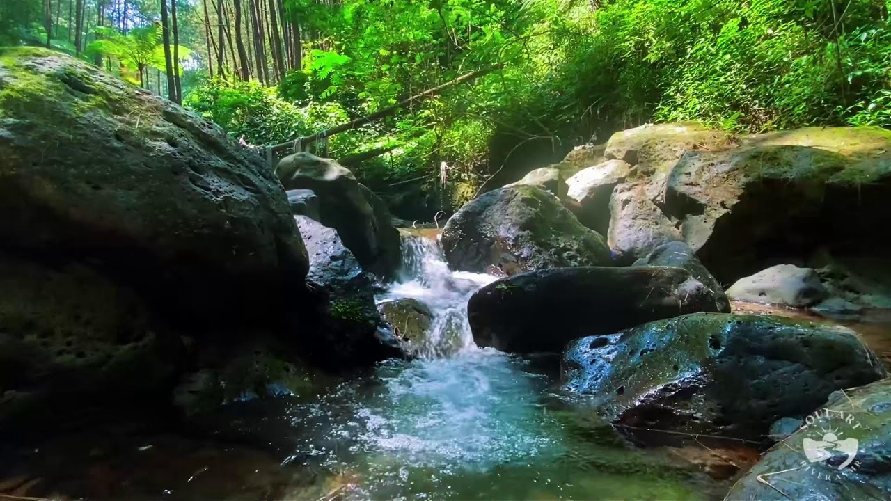 River Sounds & waterfall Sounds for Sleeping | Nature Stream for Relaxing & Stress Relief. #river 4