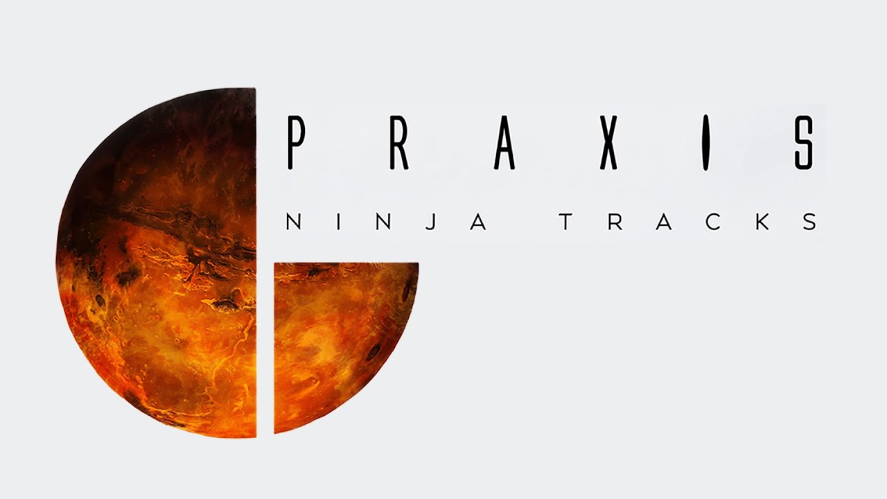 Ninja Tracks - Praxis