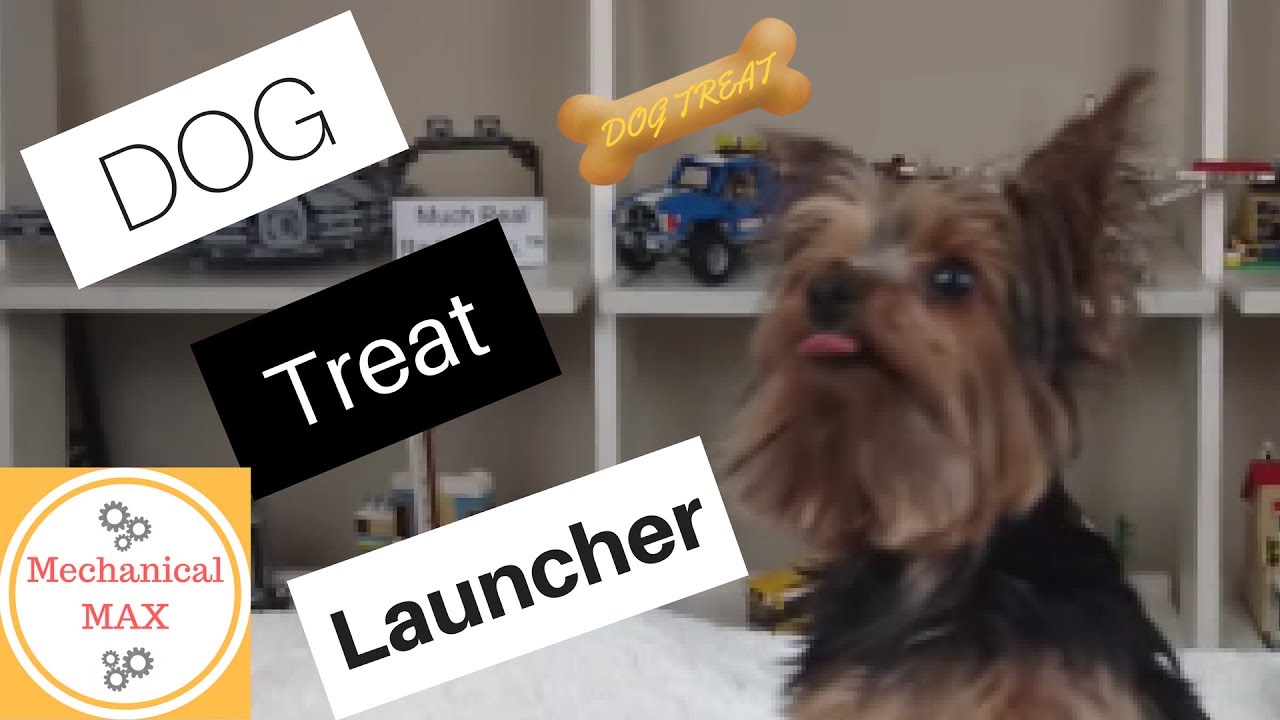 How to Use Your Dog Treat Launcher - Video One