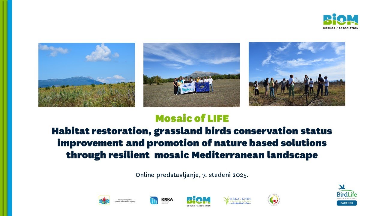 Predstavljanje projekta - Mosaic of LIFE