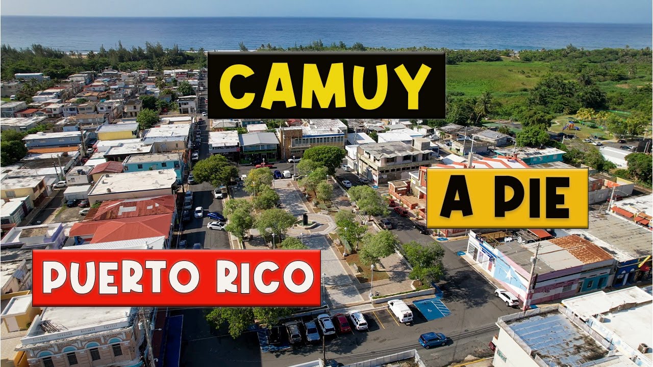 🛑 Una Peña, Mucha lluvia, Calor y Café en Camuy A Pie   4K