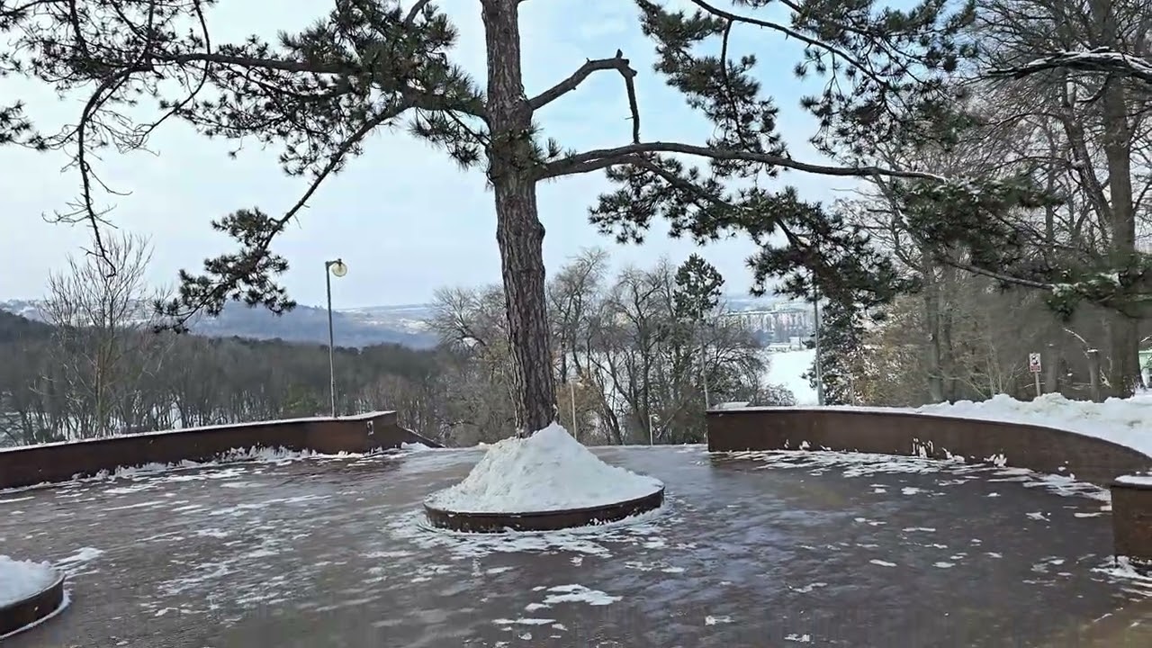 Кишинёв, приехала на Комсомольское озеро.19.02.2026