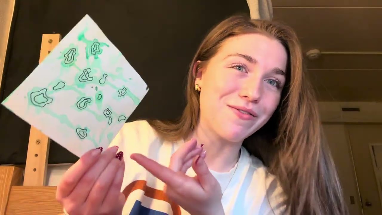 Book plan video: Art Ed. 