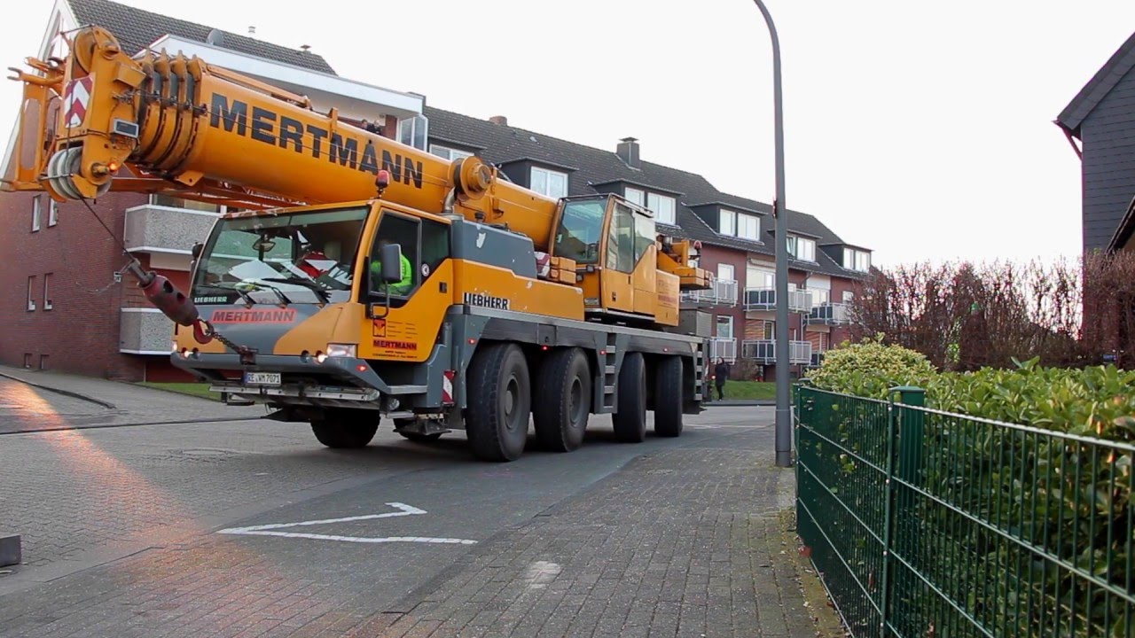 Scheidtmann Service Baumdienst