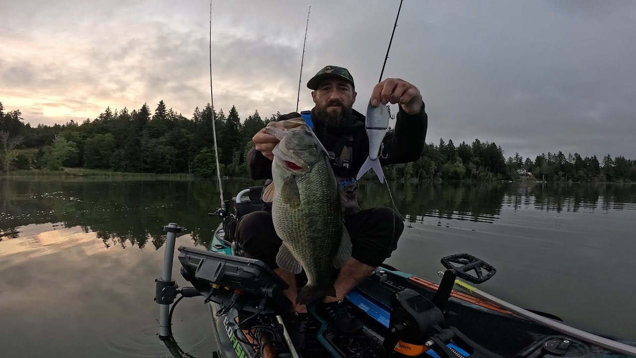 Swimbaits Washington state