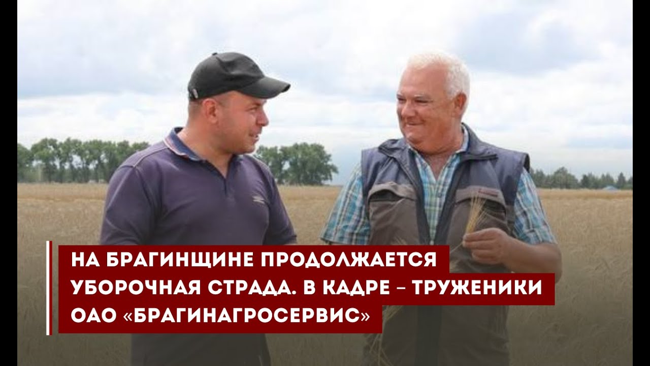 На Брагинщине продолжается уборочная страда. В кадре &ndash; труженики ОАО &laquo;Брагинагросервис&raquo;