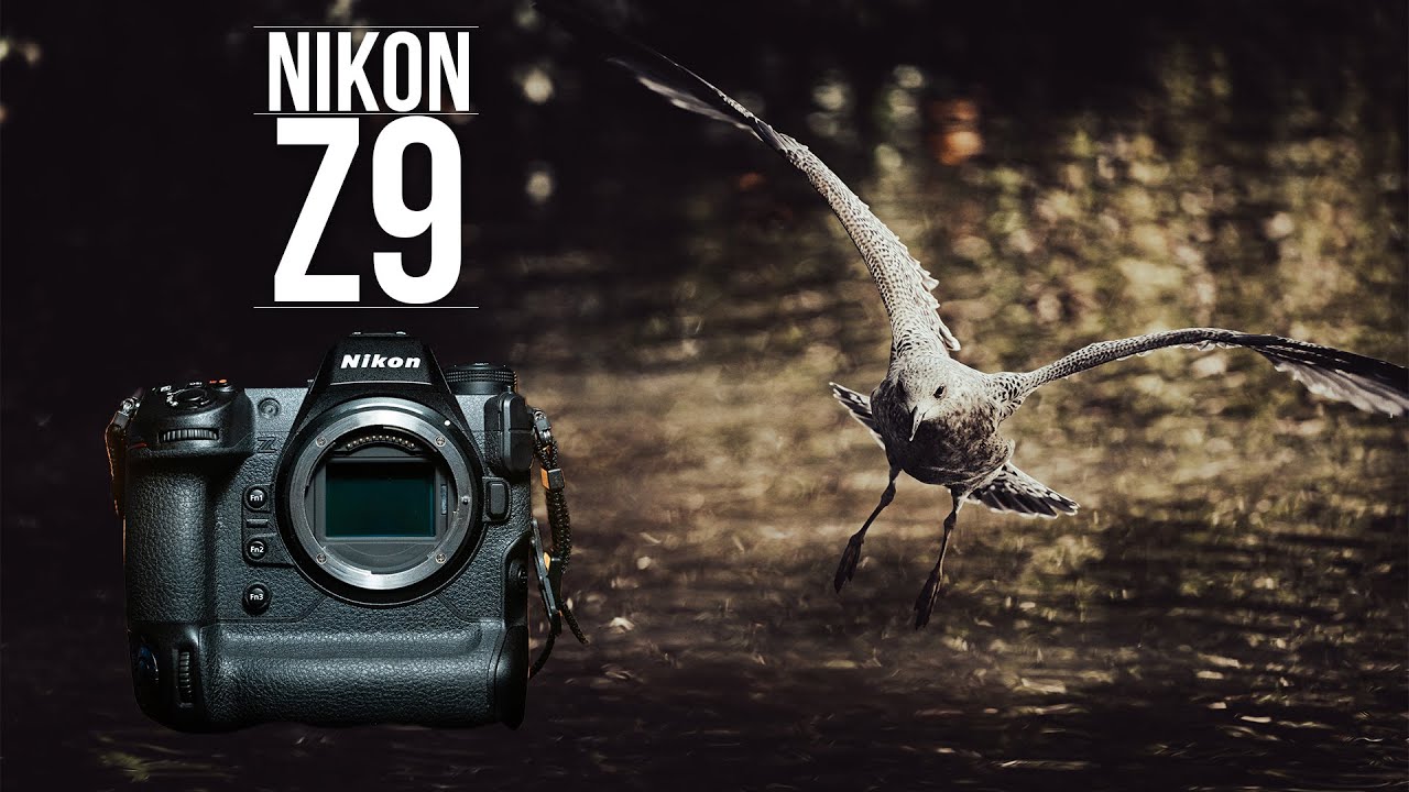 Nikon Z9 First Look | A Powerhouse of a Camera