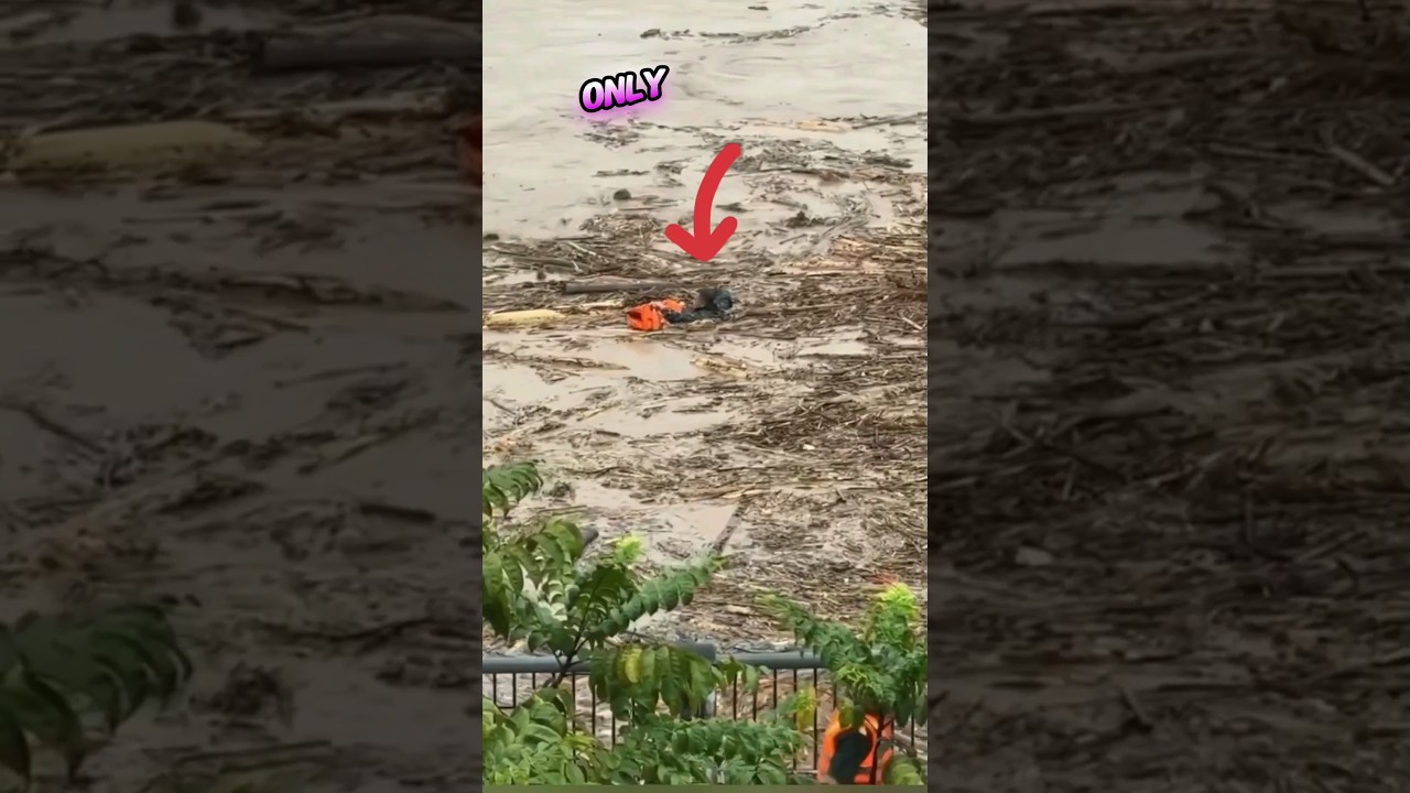 Boy Saved from Massive Flood by Locals & Rescue Team 💕 #heartwarming #humanity #stories