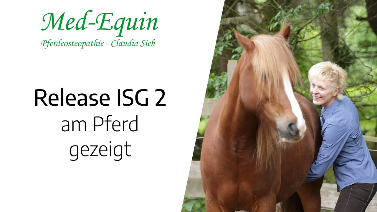 ISG-Problem beim Pferd, schnell und einfach osteopathisch l&ouml;sen. Es geht auch ohne Hauruck (2)