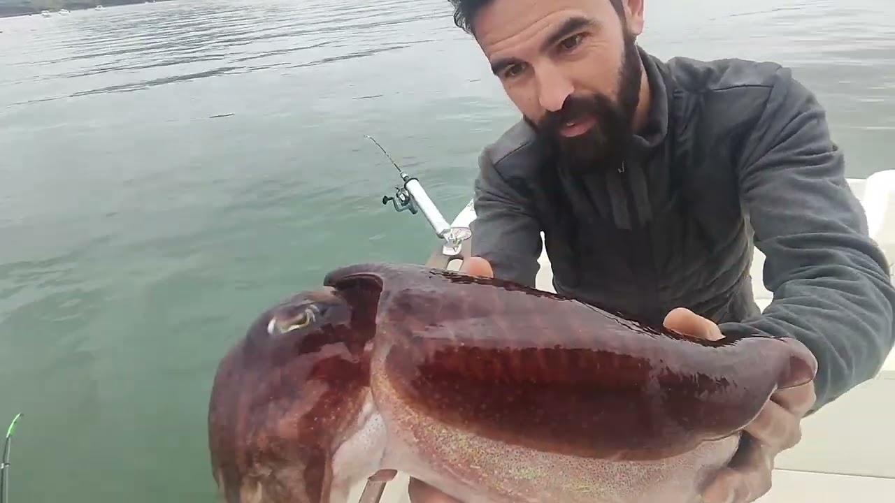 Pesca de cachones y consejos