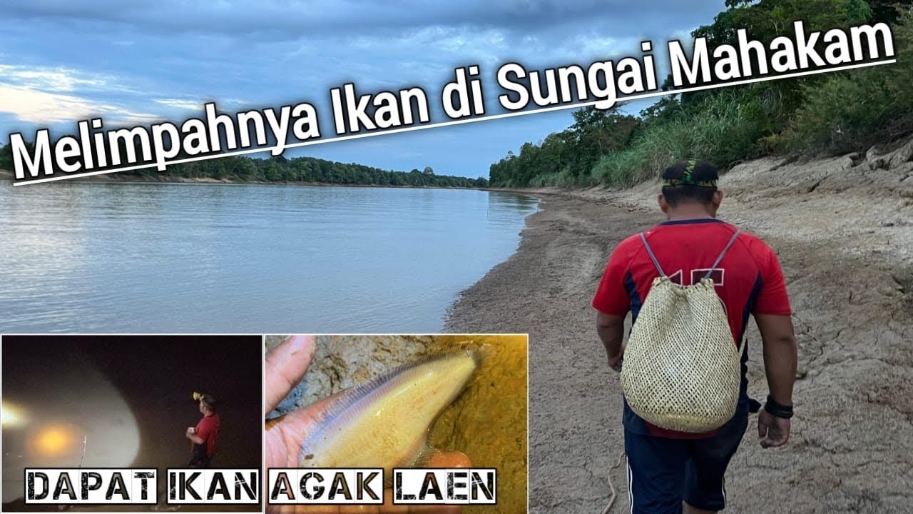 BERKAH SAAT SUNGAI MAHAKAM SURUT ‼️ EPS 02
