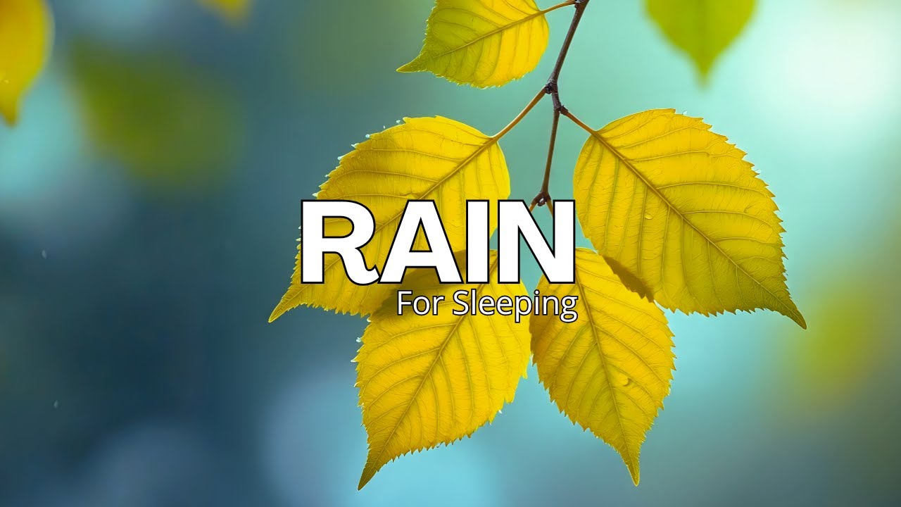 Calming Background Music for Sleep & Focus 🌙 | Soothing Acoustic Guitar for Inner Peace & Relaxation