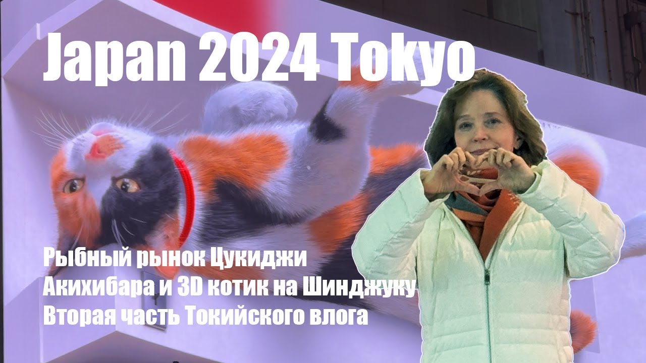 JAPAN Tokyo ЯПОНИЯ Токио vlog-6 2024