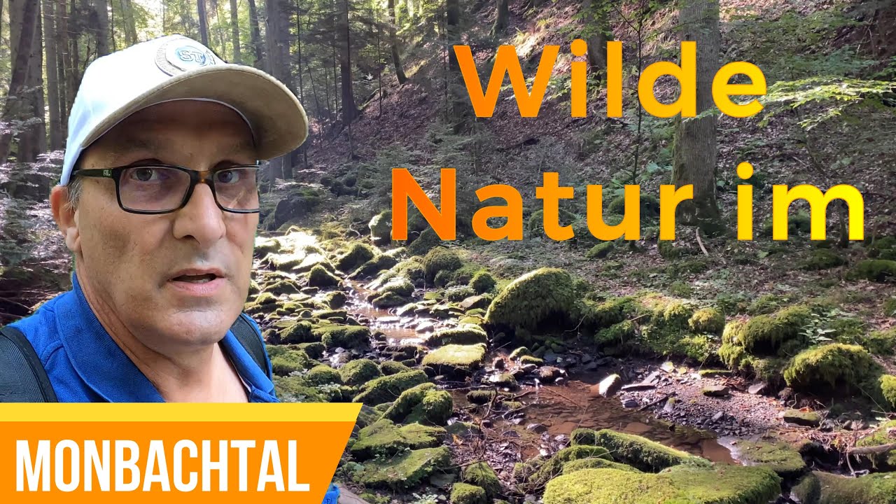 WANDERLEBEN - Wilde Natur im Monbachtal