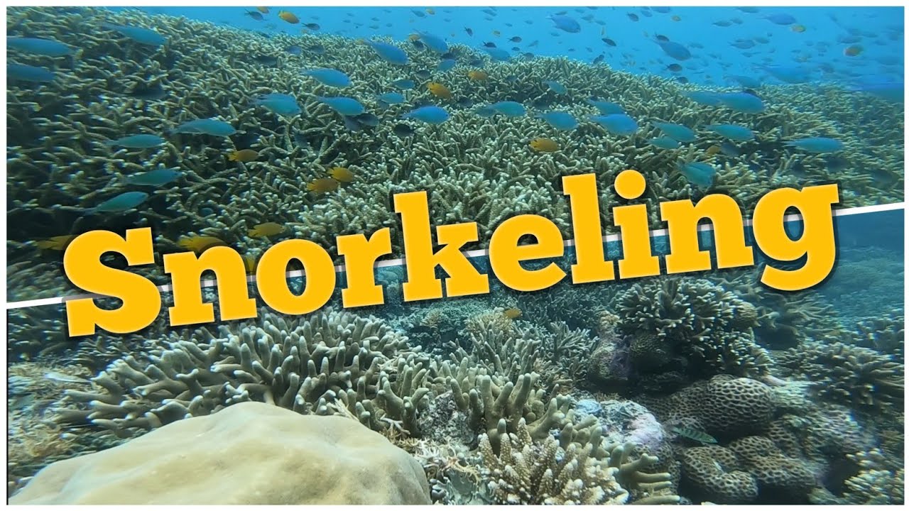 GILI TRAWANGAN - LOMBOK  (Snorkeling Gili Meno)