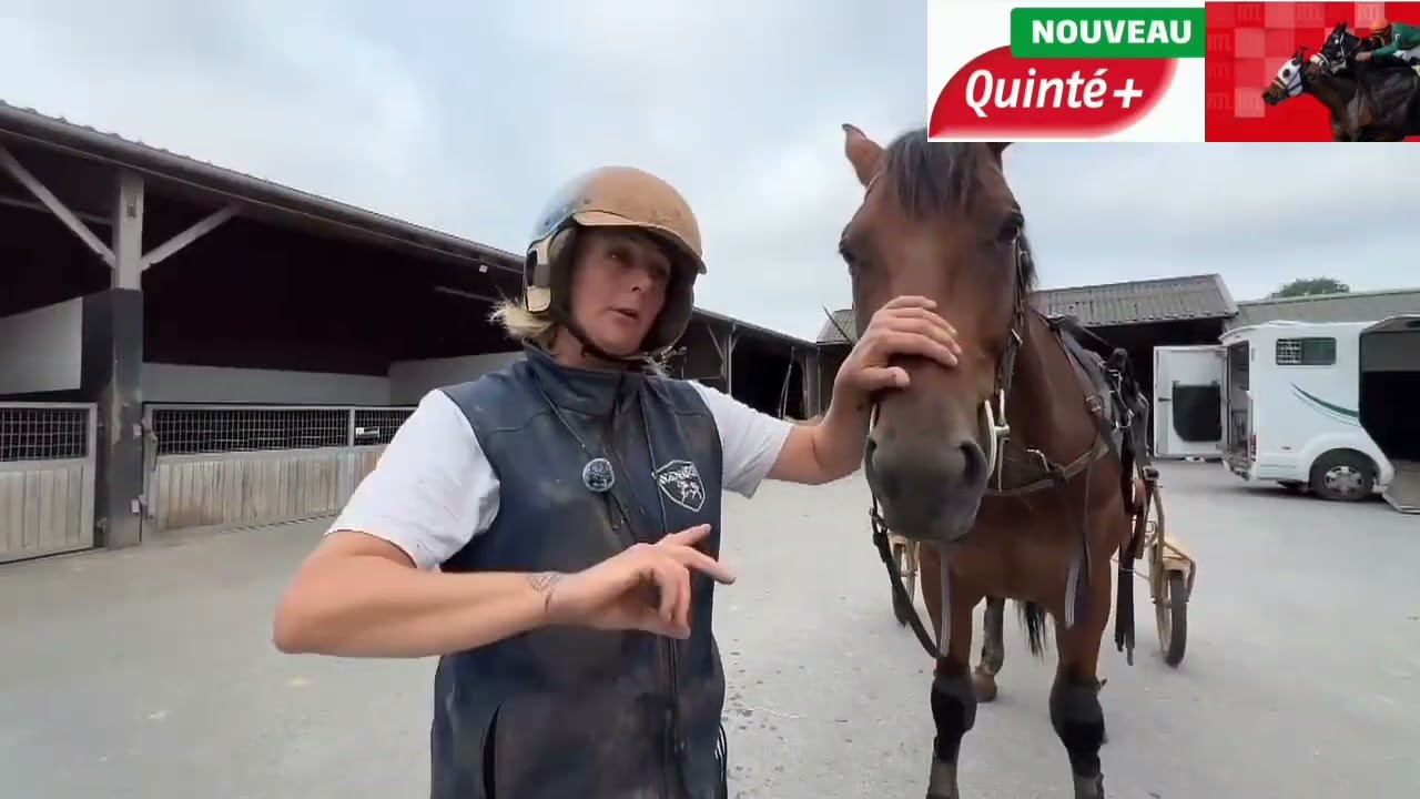 🏇 HURRICANE CARTER — The Beast That Dominates the Track! 🔥💰