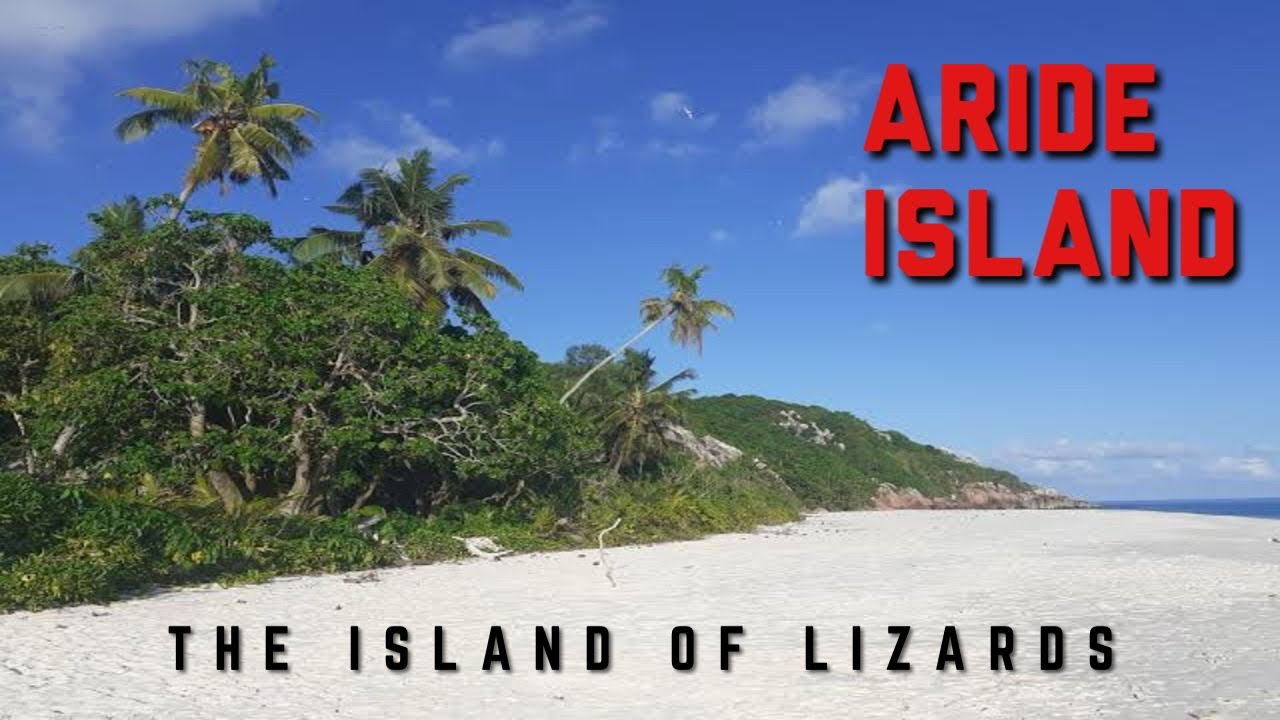 Aride Island | A Haven for Wildlife and Wonder | Explore Zone