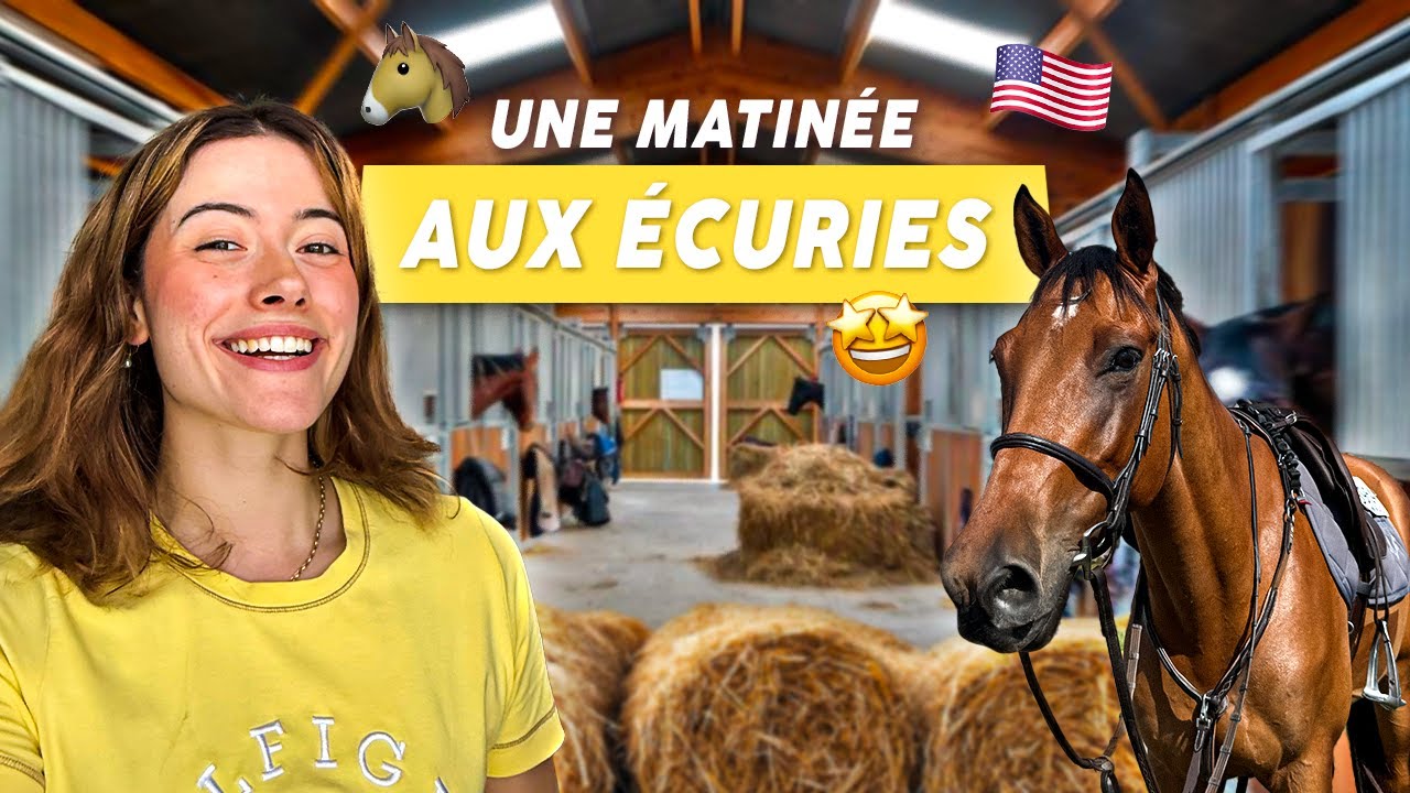 vlog du mercredi 4 : nouveau cheval à monter et je m'entraîne pour ma prochaine compétition !