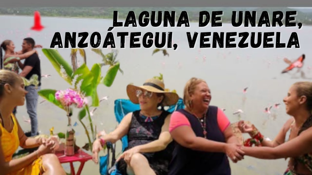 La Laguna de Unare | Humedal de Venezuela | Boca de Uchire | Flamingos | Corocora | Anzoátegui | 4K