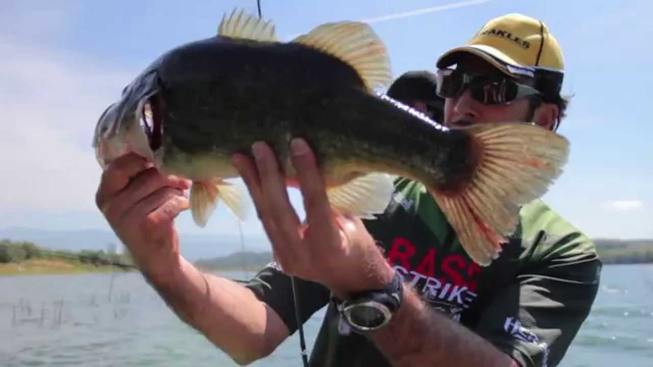 Fish On Obiettivo Pesca - L'ABC del Bass Fishing