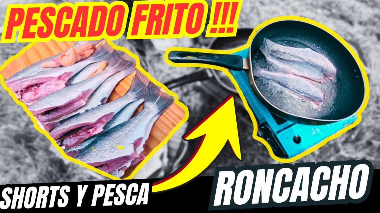Best fishing spots at Fisch - Amigos de la Pesca cap  #fishing, #fishinglife, #bassfishing