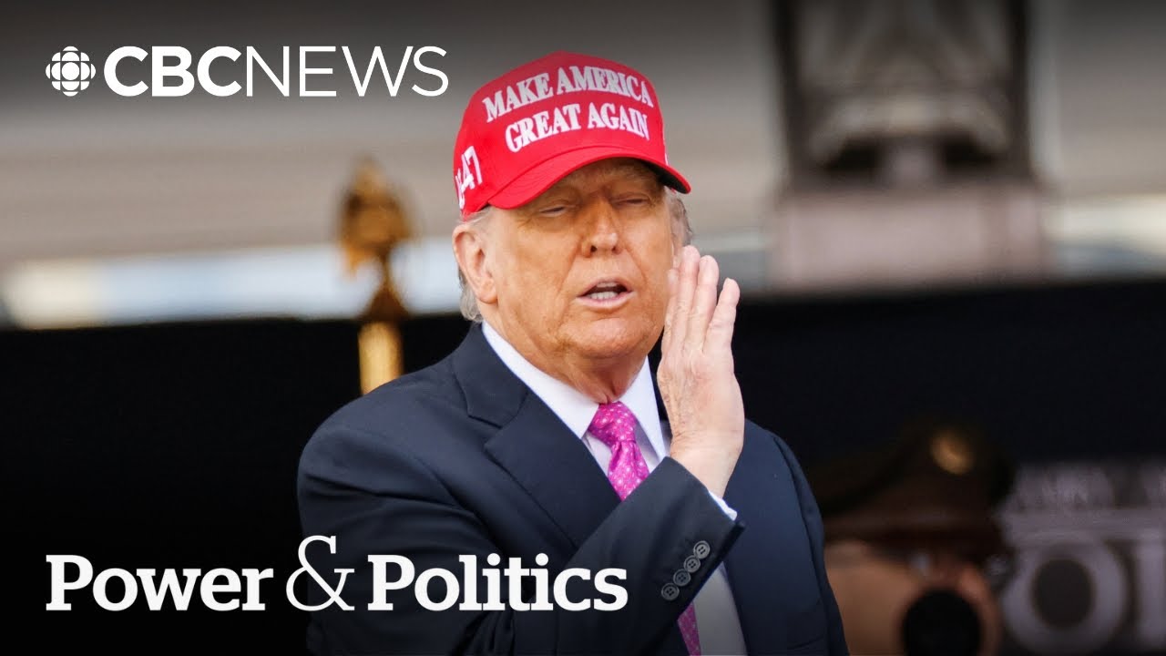 Is the Epstein files controversy dividing Trump’s MAGA movement? | Power & Politics