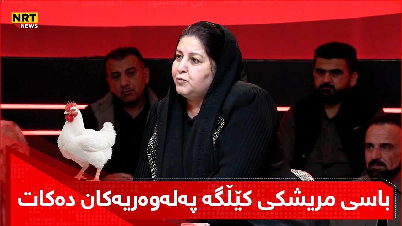 د. نەهلە محەمەد لە ئێن ئاڕ تی باسی مریشکی کێڵگە پەلەوەریەکانی سلێمانی دەکات