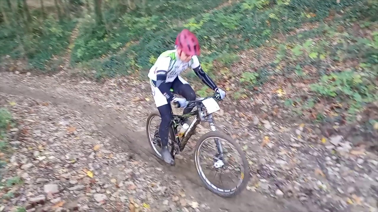 Avilla Radical 2019