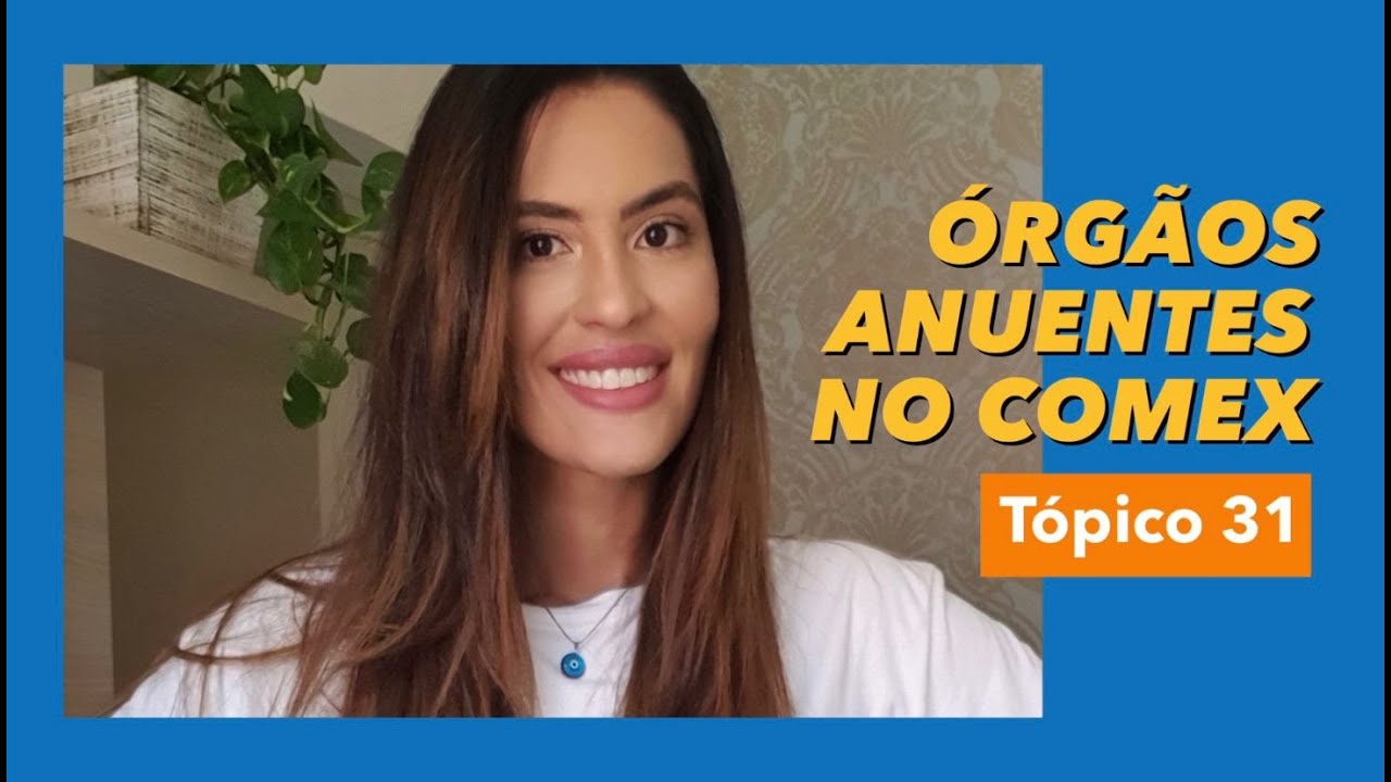 ÓRGÃOS ANUENTES NO COMÉRCIO EXTERIOR BRASILEIRO