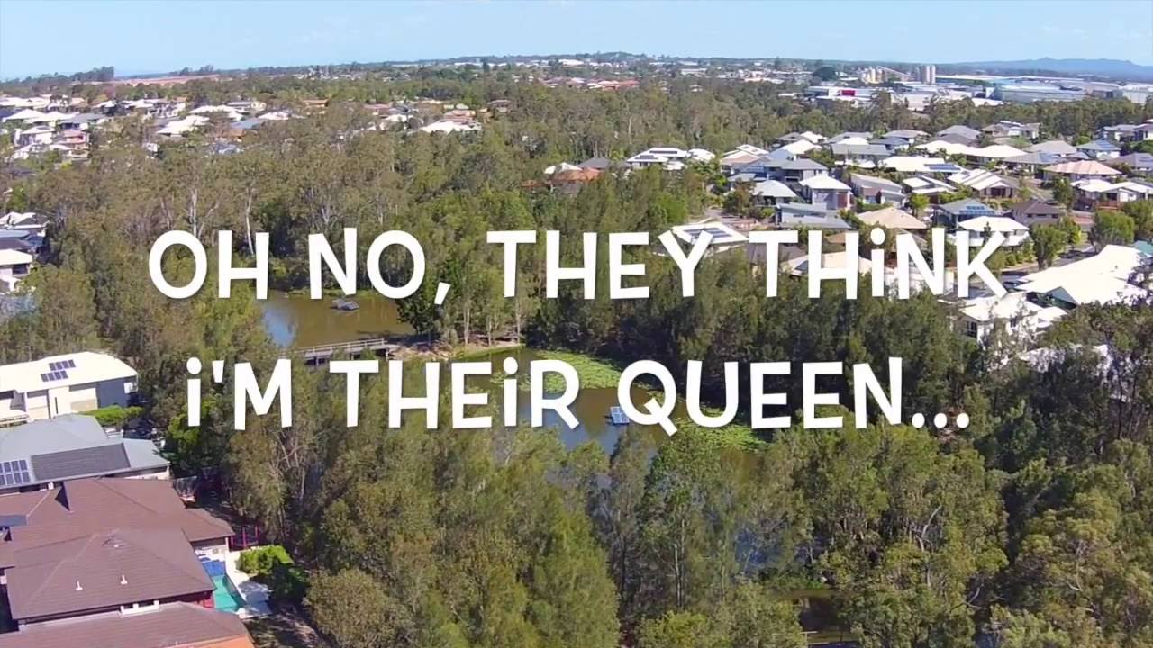 Swarm of bees attack DJI Phantom 2 Vision+