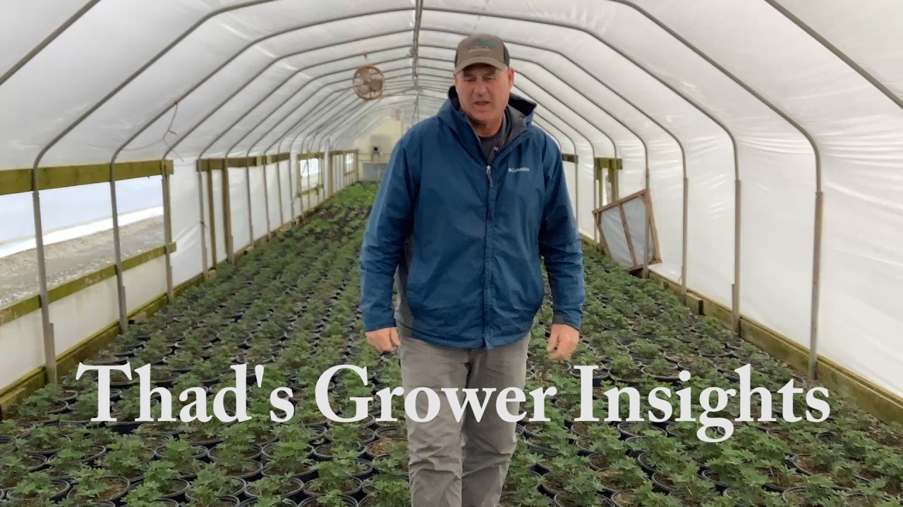 3 16 26 Thad's Grower Insights