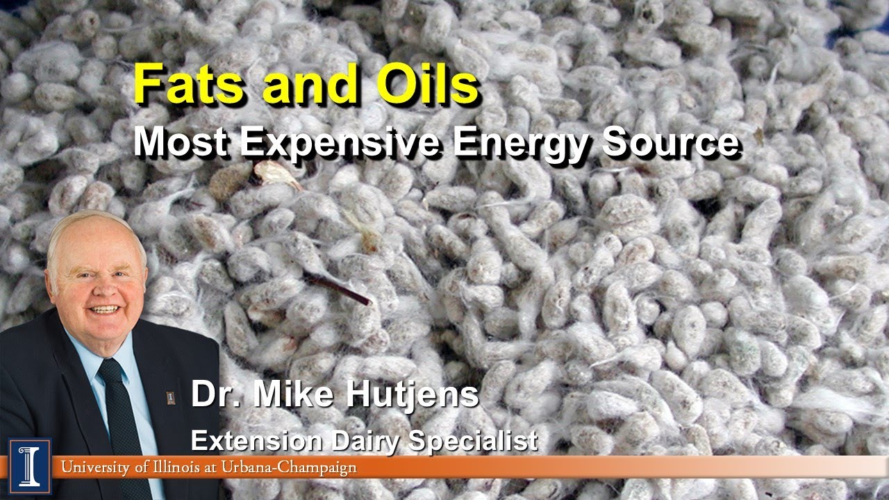 Fats and Oils